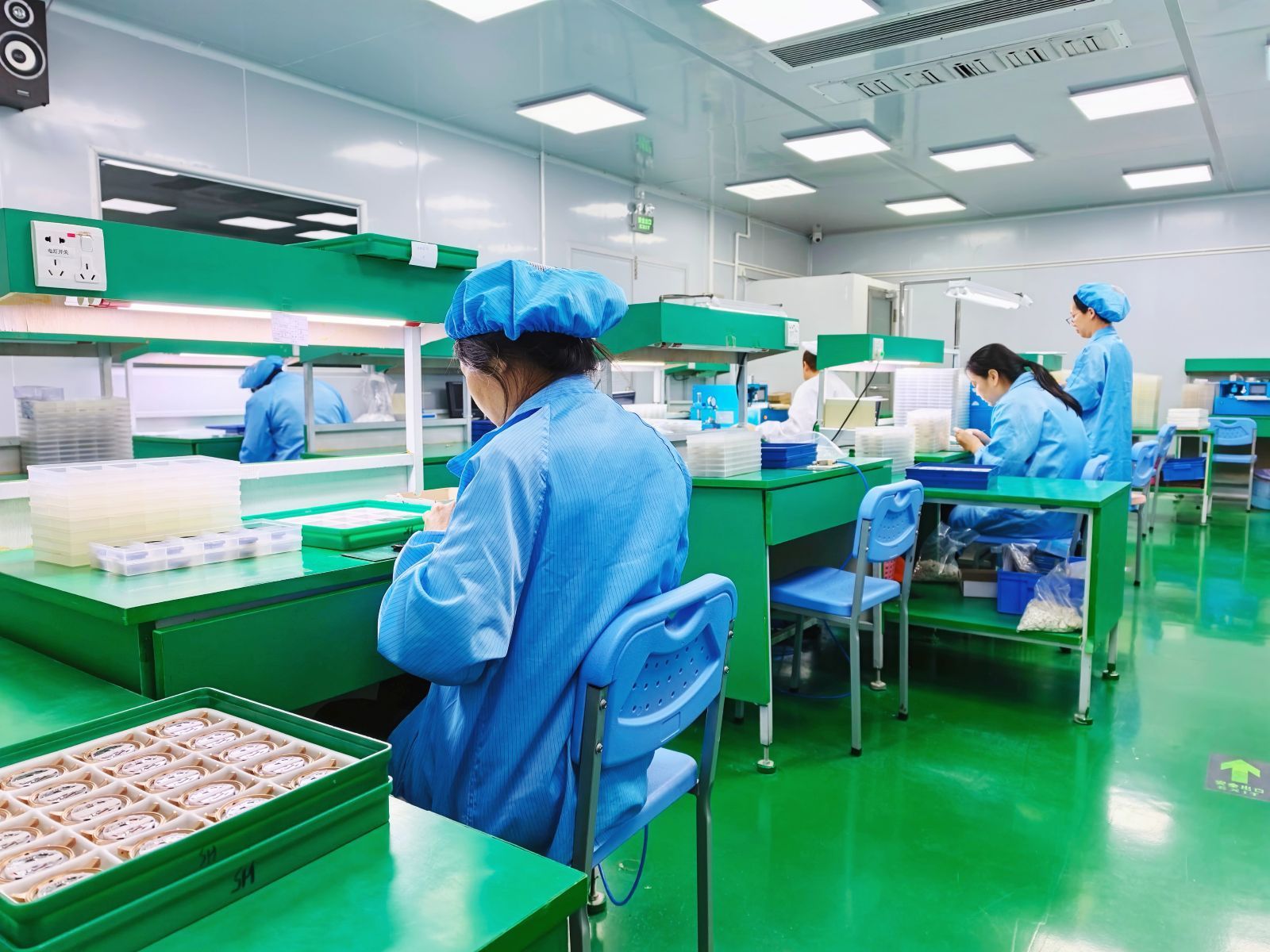 Watch assembly workshop overview in Shenzhen.